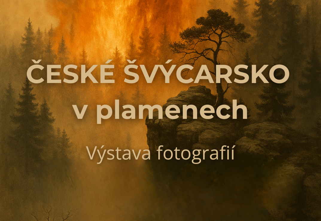 Post Thumbnail